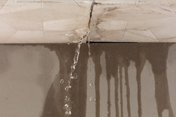 Professional Water Extraction technician working in Straughn, IN